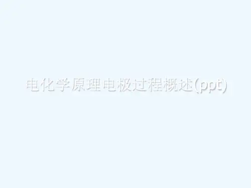 电化学原理电极过程概述(ppt)