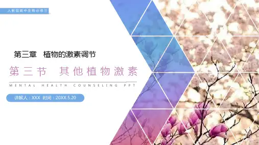 《其他植物激素》人教版高二生物必修三PPT课件