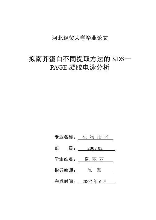 拟南芥总蛋白提取