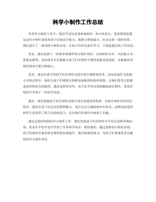 科学小制作工作总结