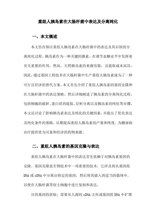 重组人胰岛素在大肠杆菌中表达及分离纯化