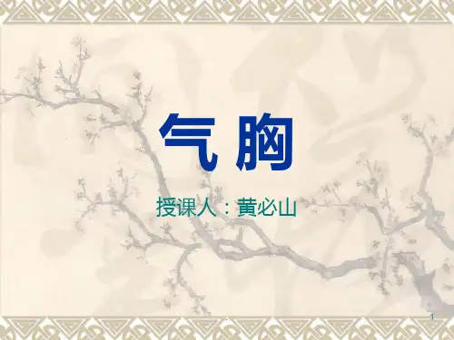 气胸之科室小讲课PPT课件