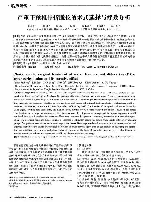 严重下颈椎骨折脱位的术式选择与疗效分析