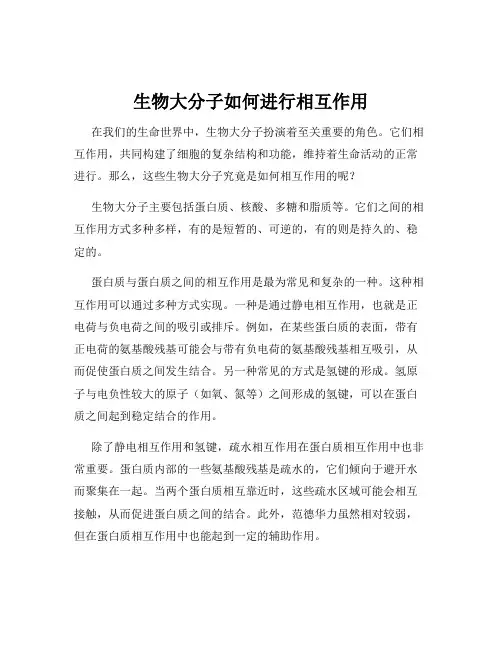 生物大分子如何进行相互作用