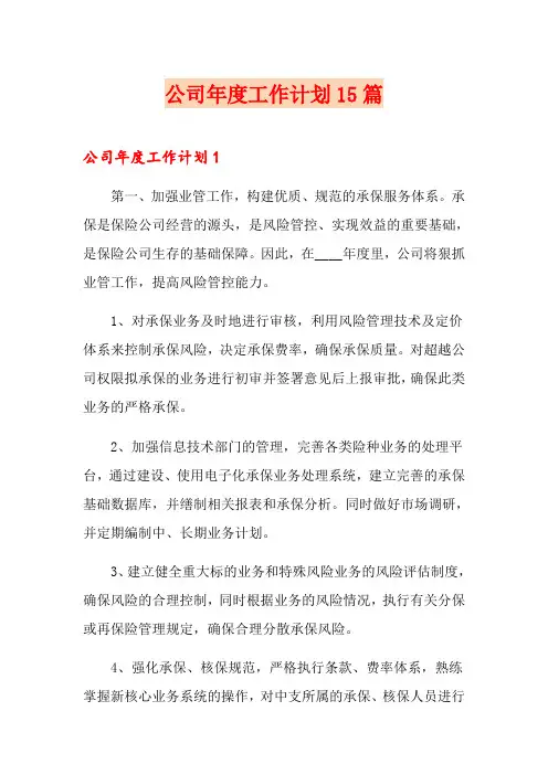 公司年度工作计划15篇