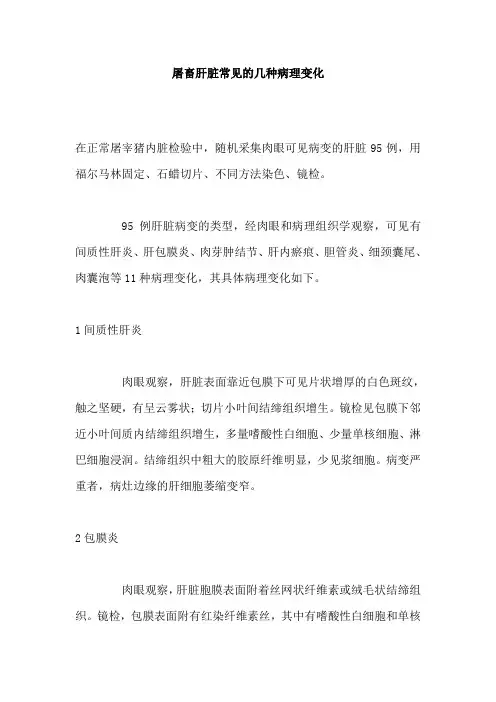 屠畜肝脏常见的几种病理变化