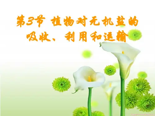 植物对无机盐的吸收、利用和运输