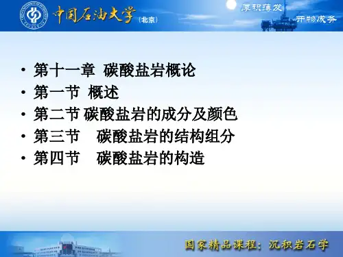 11 第十一章 碳酸盐岩概论