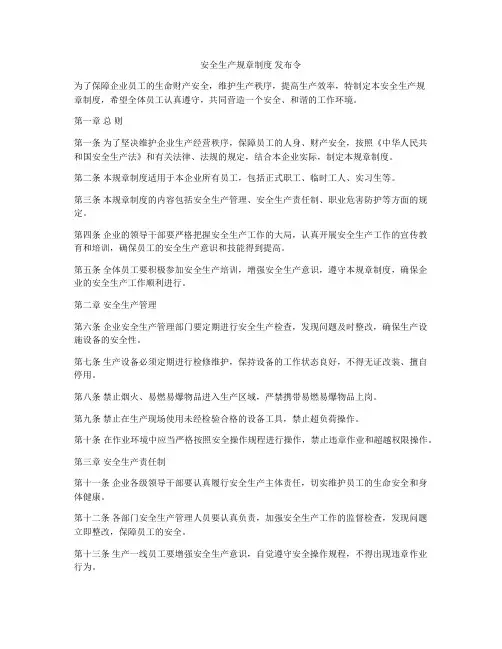 安全生产规章制度 发布令