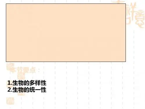 生物的多样性、统一性和进化ppt 浙教版