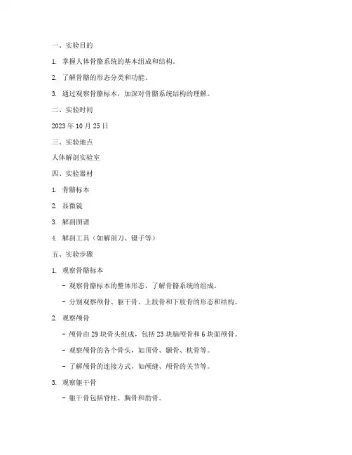 解剖学实验报告骨学