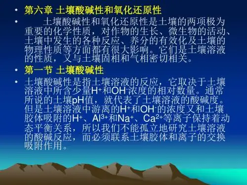6酸碱性及氧化还原反应