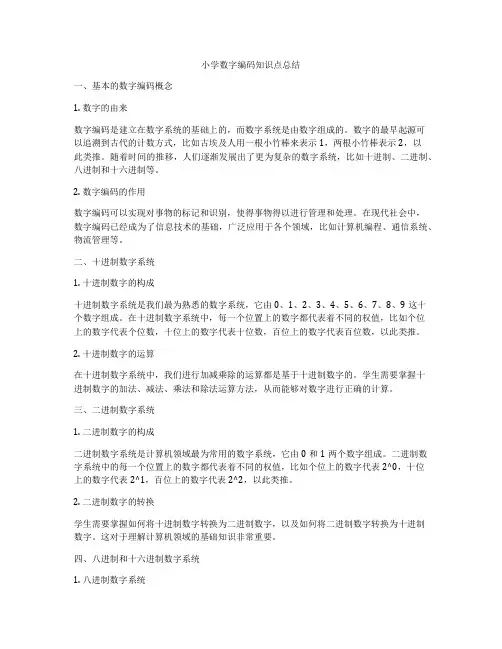 小学数字编码知识点总结