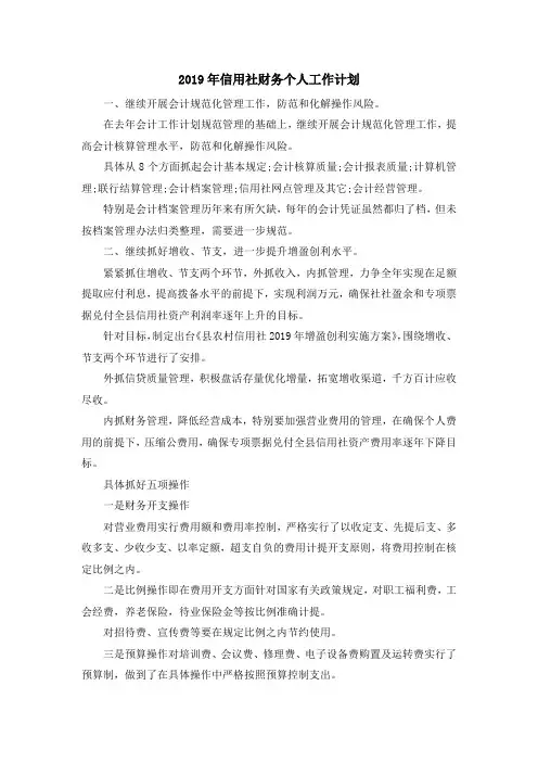 最新-2019年信用社财务个人工作计划 精品