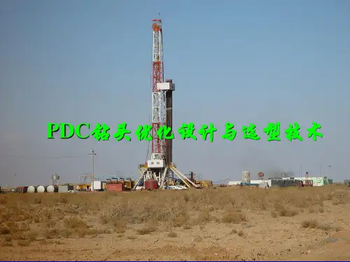 PDC钻头优化设计与选型技术