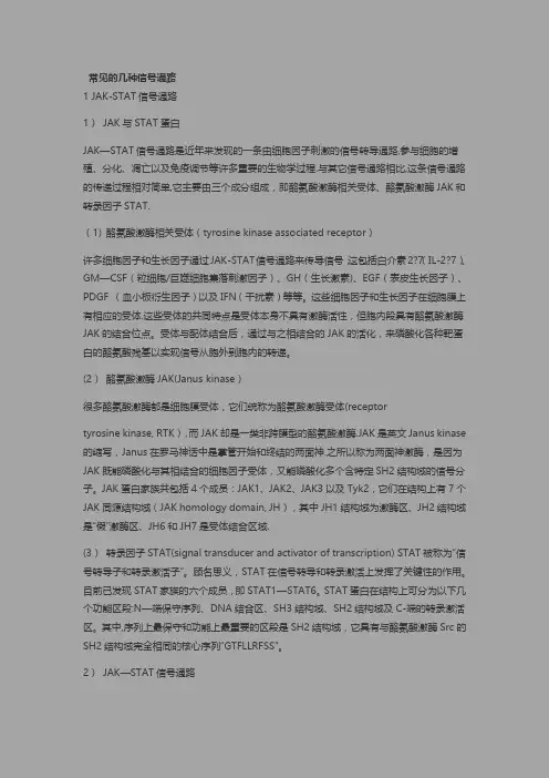 常见信号通路