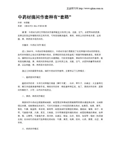 中药材搞间作套种有“套路”