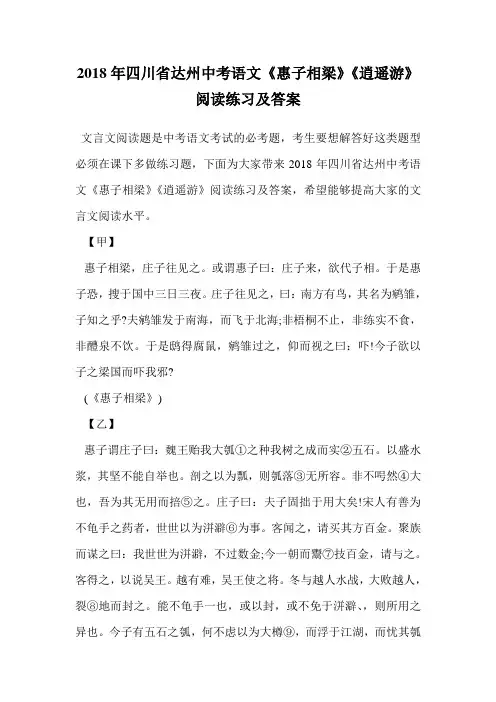2018年四川省达州中考语文《惠子相梁》《逍遥游》阅读练习及答案.doc