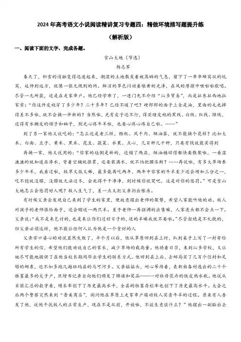 2024年高考语文小说阅读精讲复习专题四：精做环境描写题提升练(教师版)