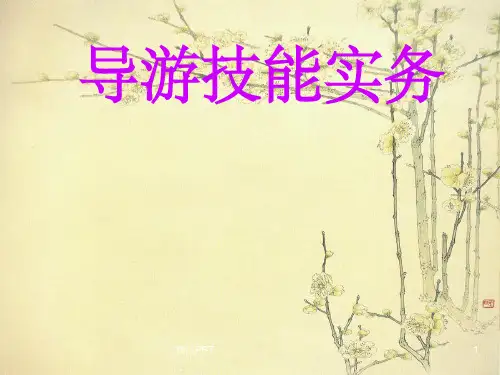 《导游技能实务》PPT课件