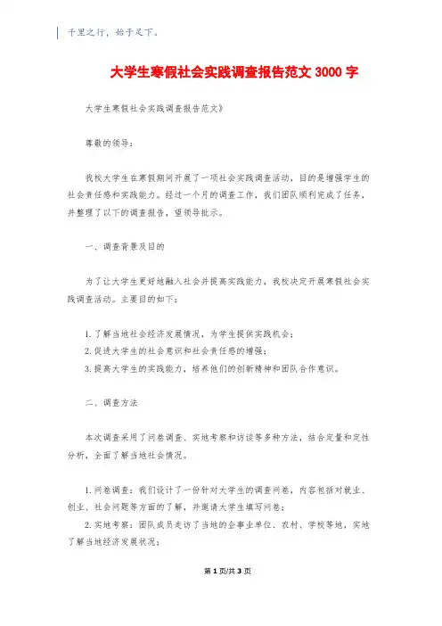 大学生寒假社会实践调查报告范文3000字