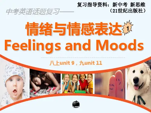 英语人教版九年级全册feelings and moods