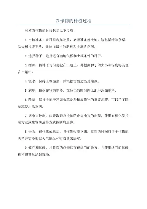 农作物的种植过程