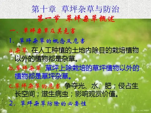 草坪杂草与防治PPT教学课件