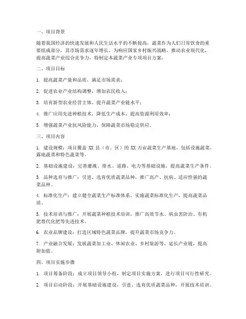 蔬菜产业专项项目方案