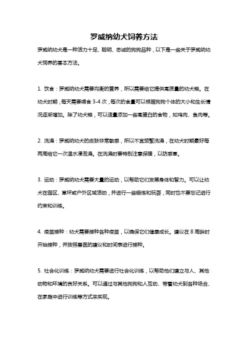 罗威纳幼犬饲养方法
