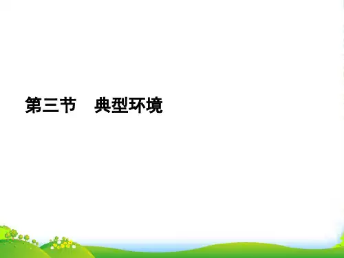 高考语文二轮复习资料 143《典型环境》课件 新人教