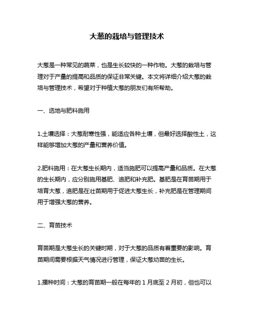 大葱的栽培与管理技术