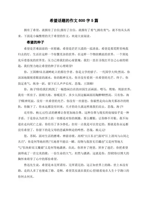 希望话题的作文800字5篇