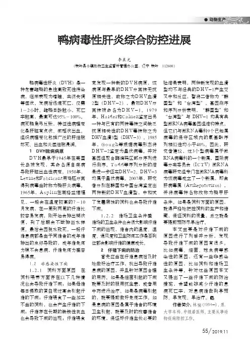 鸭病毒性肝炎综合防控进展