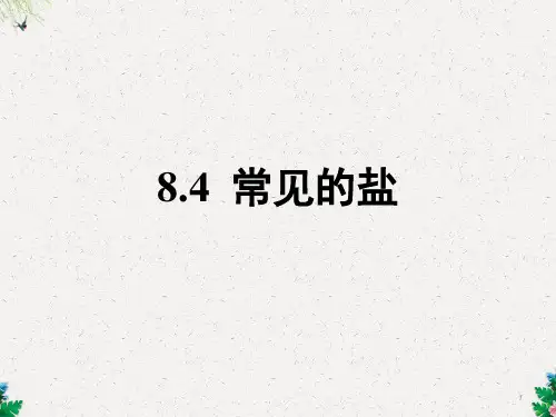 科粤版九年级下册化学《常见的盐》课件
