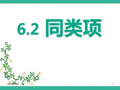 青岛版七年级上册数学 《同类项》PPT教学课件2