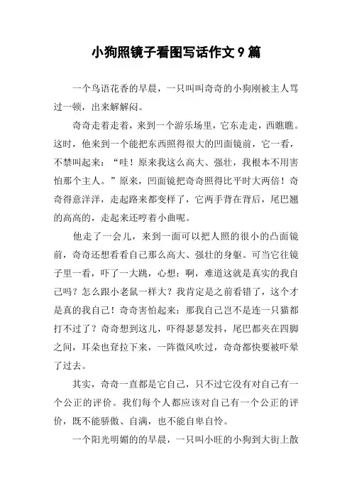 小狗照镜子看图写话作文9篇