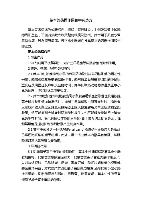 藁本的药理作用和中药选方