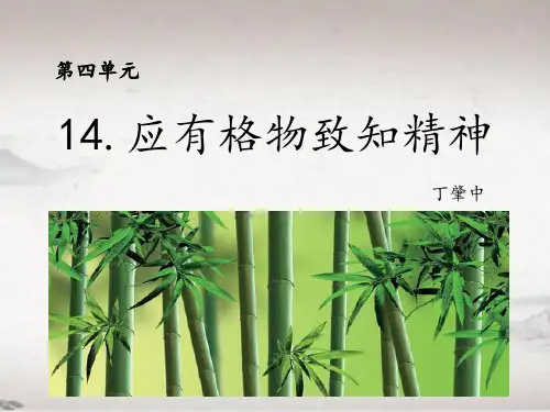 第14课 应有格物致知精神 课件(共25张PPT)