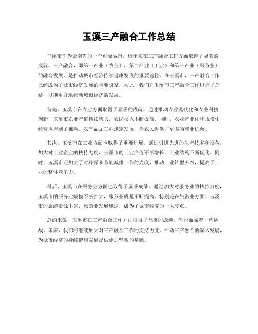 玉溪三产融合工作总结