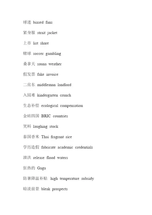 一些热词、潮词的英文翻译