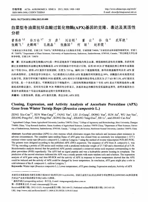 白菜型冬油菜抗坏血酸过氧化物酶(APX)基因的克隆、表达及其活性分析