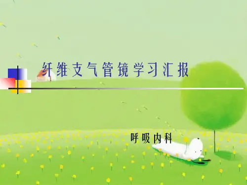 纤维支气管镜学习汇报幻灯片PPT