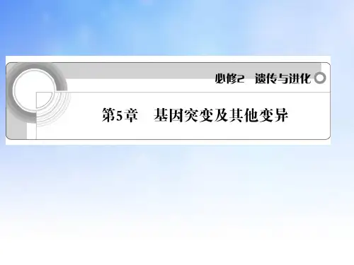 基因突变及其他变异ppt课件演示文稿