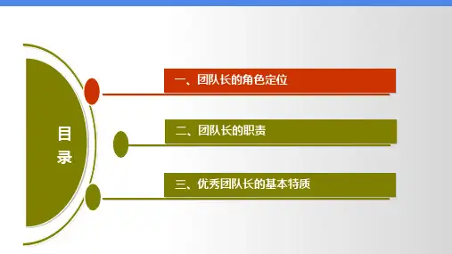 团队长角色定位及职责PPT35页
