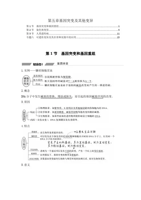 新教材 人教版高中生物必修2 第五章 基因突变及其他变异 知识点考点重点难点提炼汇总
