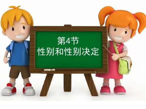 北师大版生物八年级上册20.4 性别和性别决定   课件(共46张PPT)