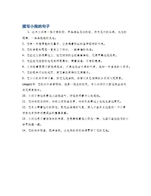描写小狗的句子