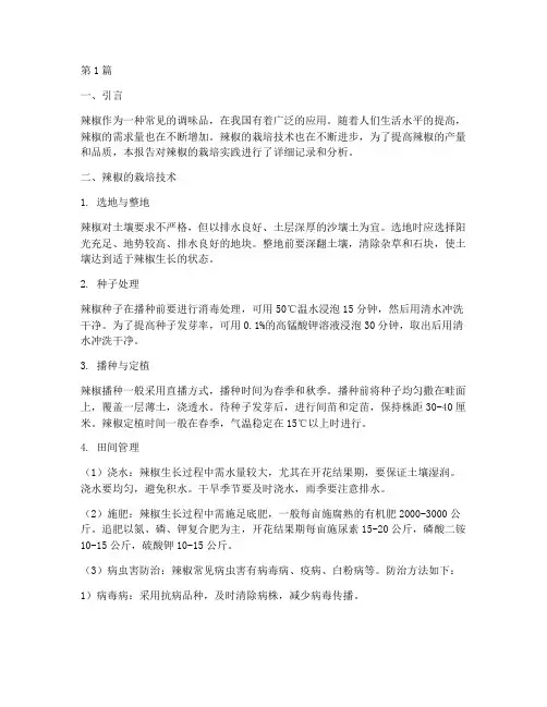 辣椒的栽培实践报告(2篇)