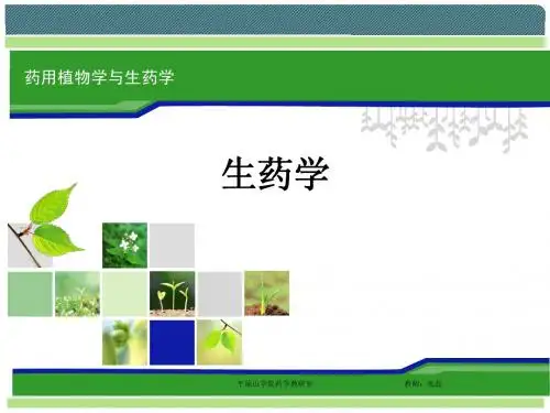 生药学-1